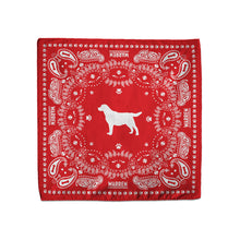 Load image into Gallery viewer, Bailey for First Dog Handkerchief (7431678755005)