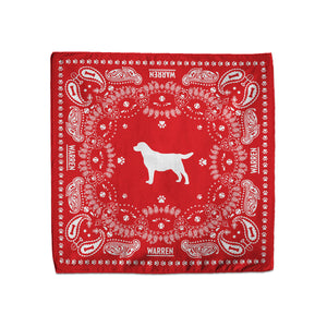 Bailey for First Dog Handkerchief (7431678755005)