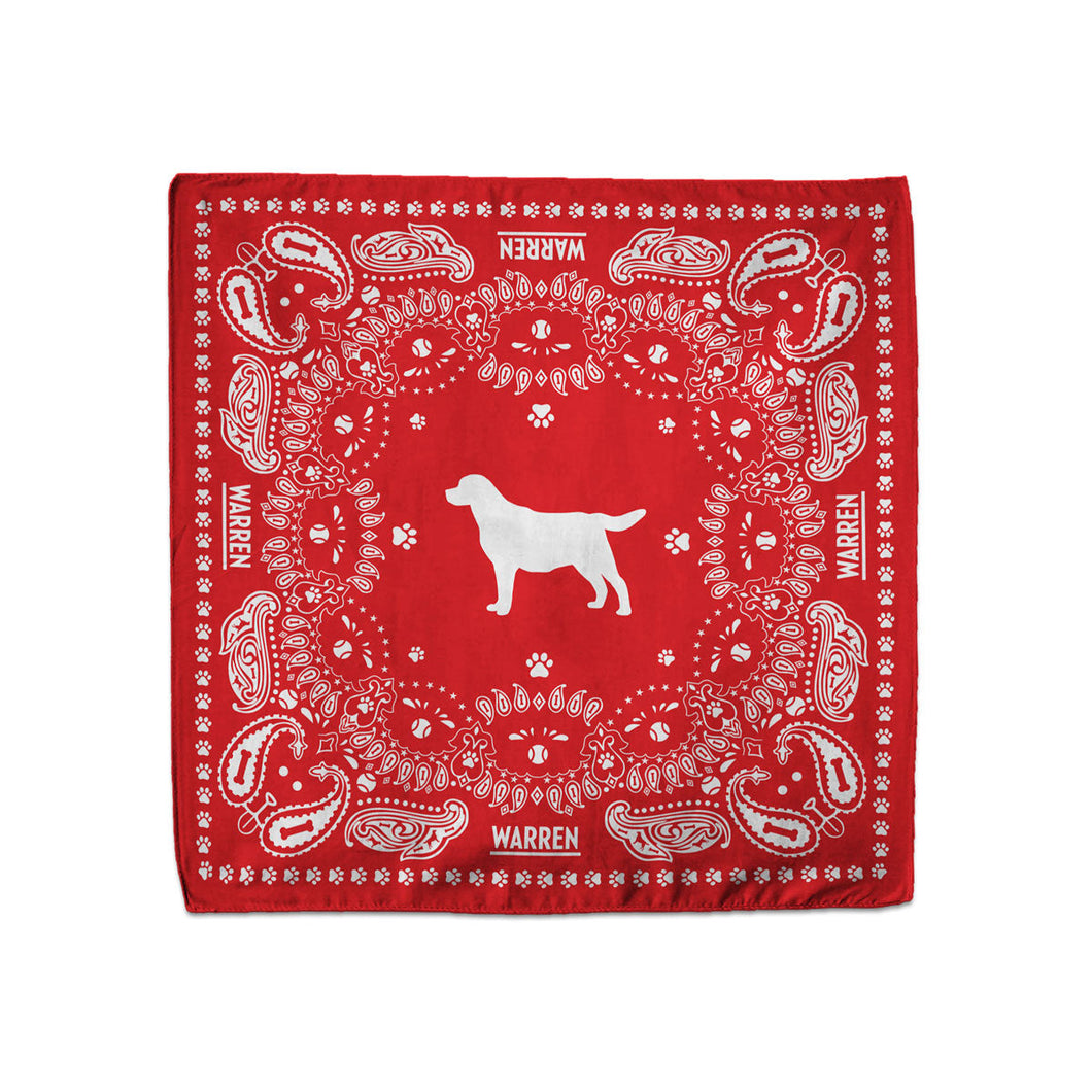Bailey for First Dog Handkerchief (7431678755005)